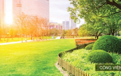 Tiện ích căn hộ boulevard